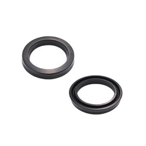 Piston Seals